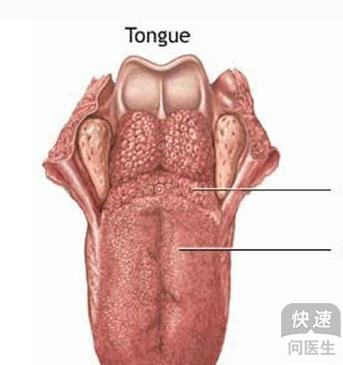 舌癌怎么来的舌癌最后怎么去世